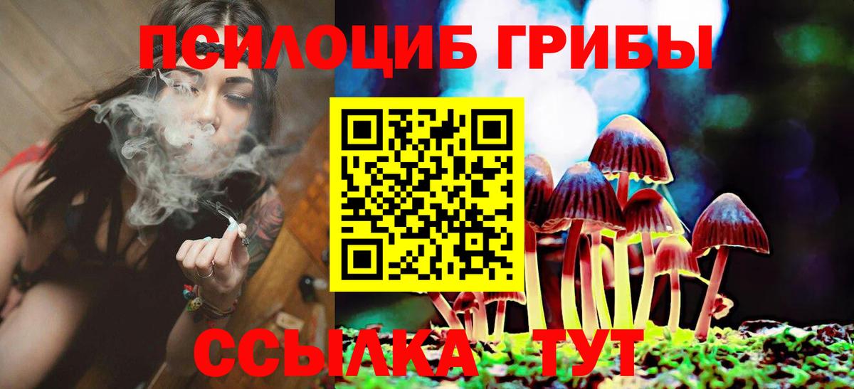 Кохма  Галлюциногенные грибы Magic Shrooms  Вход с VPN  Псилоцибиновые грибы Cubensis 